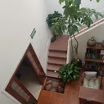 Casa Maria Elena Condesa (Adults Only)