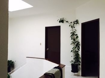 Gasthof Casa Maria Elena Condesa (adults Only) Mexiko-Stadt