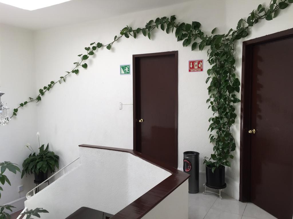 Casa Maria Elena Condesa (adults Only) Mexiko-Stadt