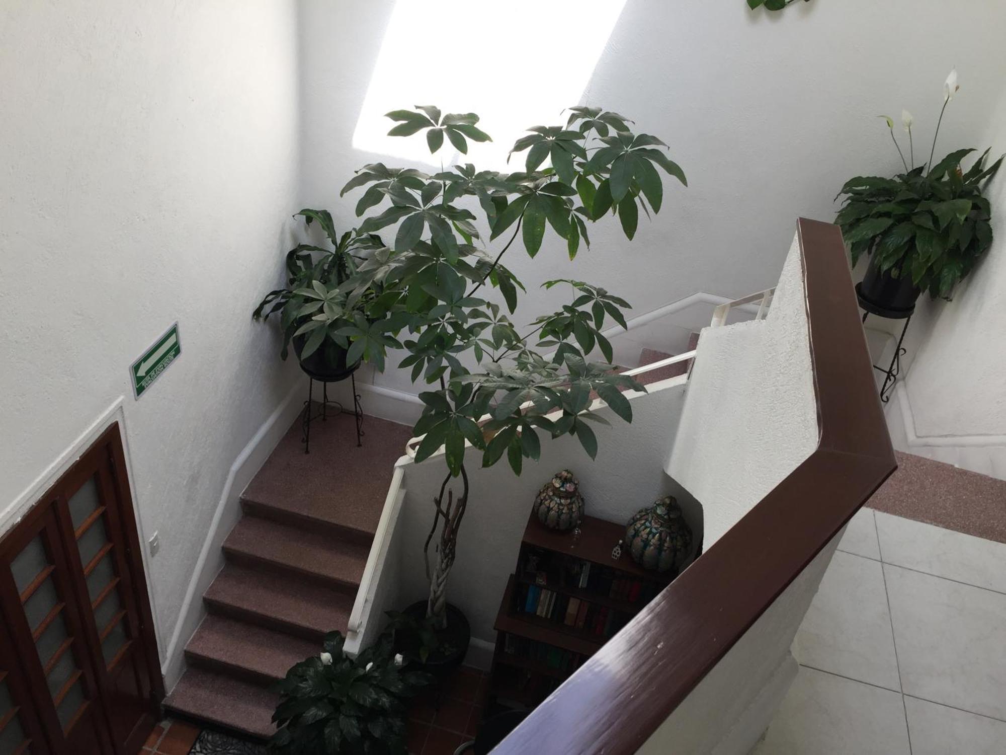Casa Maria Elena Condesa (adults Only) Gasthof 4*